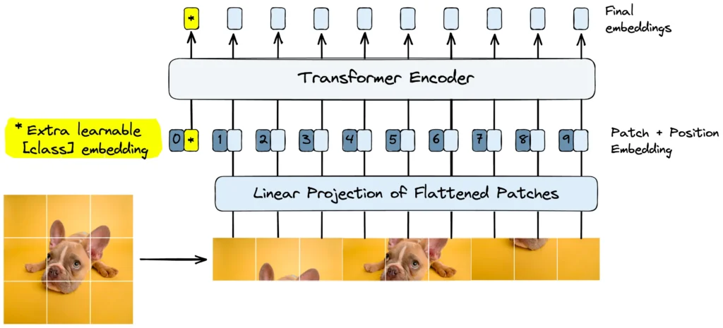 How To Compute The Token Consumption Of Vision Transformers?