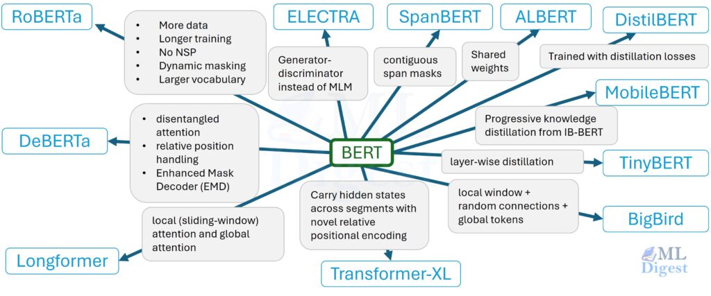 bert-variants