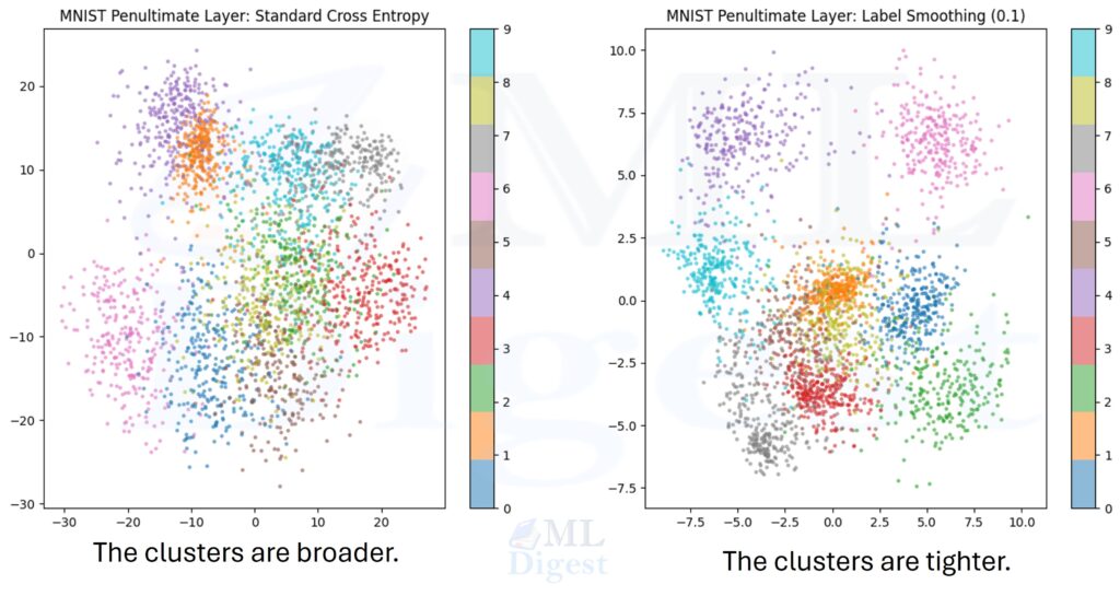 label-smoothing-tight-cluster-representation
