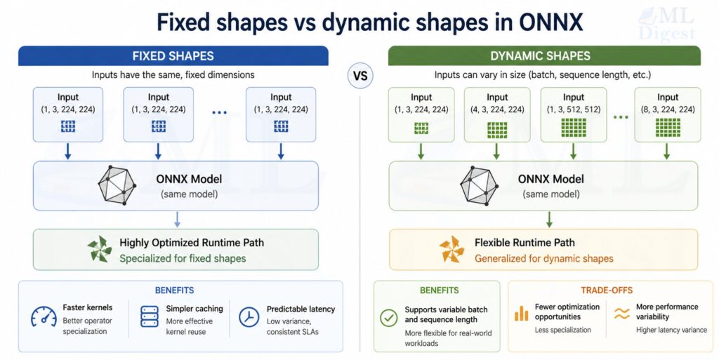 onnx-fixed-vs-dynamic-shape
