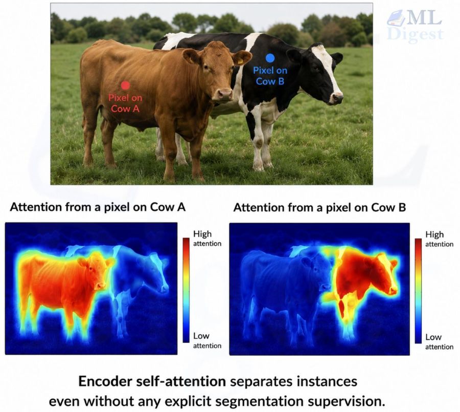 detr-encoder-self-attention-separates-objects