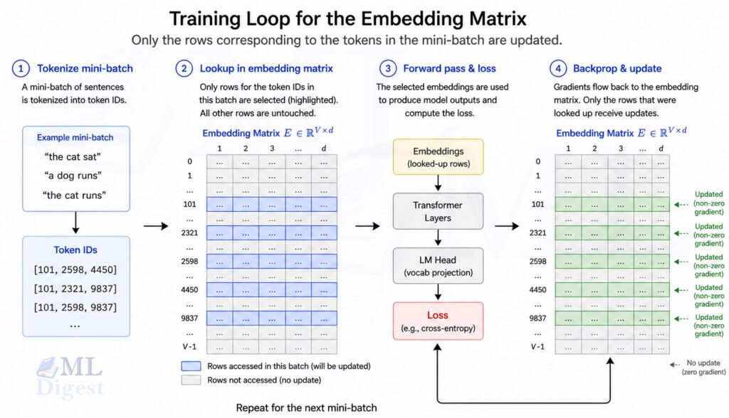 transformer-embedding-layer-training