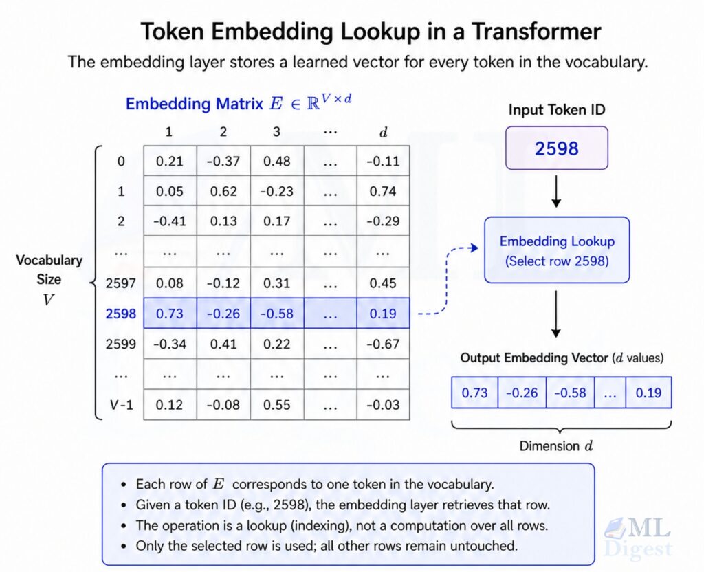 transformer-embedding-lookup-illustration