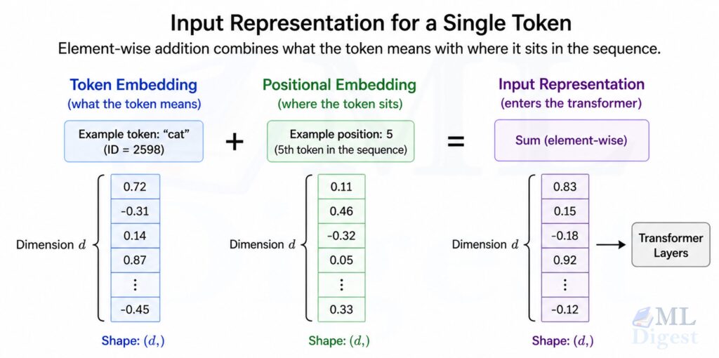 transformer-input-embedding-from-token-positional