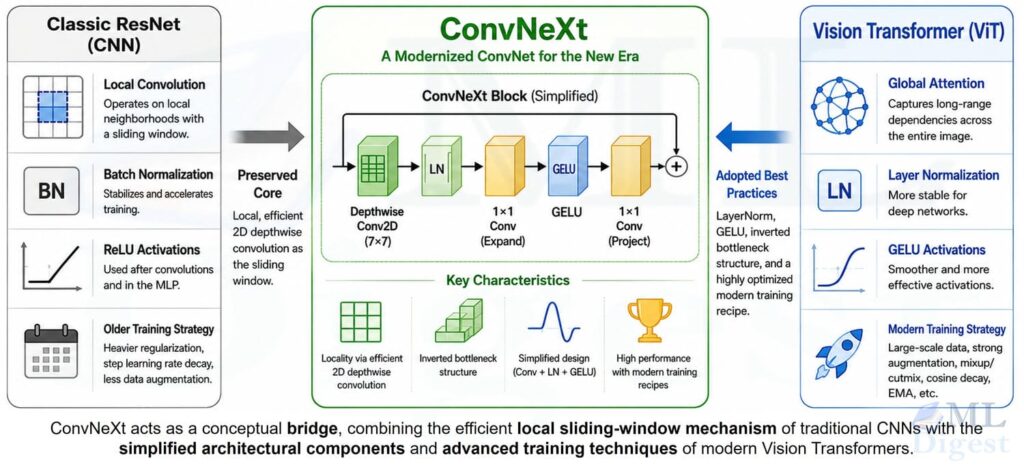 convnext-cnn-plus-vit