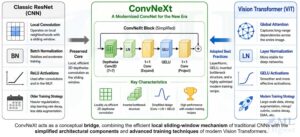 convnext-cnn-plus-vit