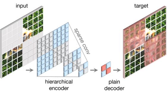 convnext-fully-convolutional-mae