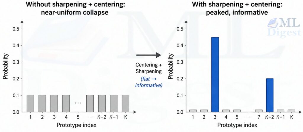 dino-effect-of-centering-and-sharpening