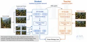 dino-student-teacher-learning-setup