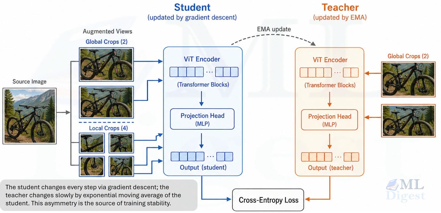 DINO and DINOv2 Made Easy: Self-Supervised Visual Learning from ...