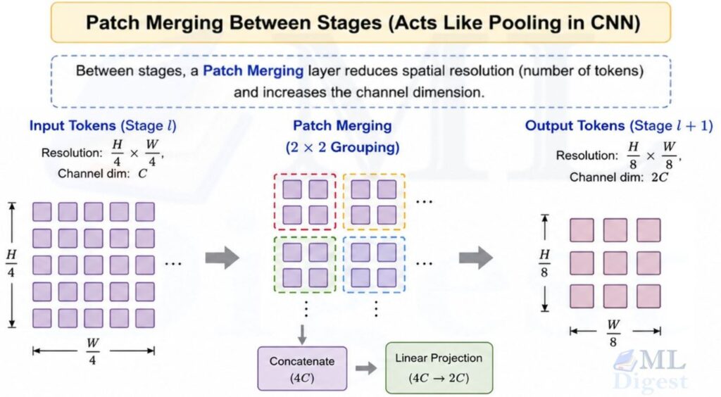 swin-transformer patch-merging layer