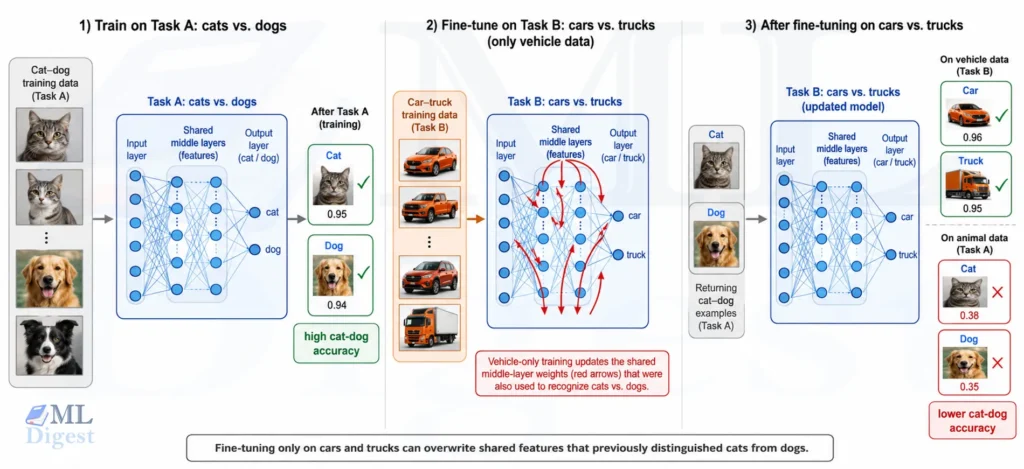 catastrophic-forgetting-cat-dog-car-truck